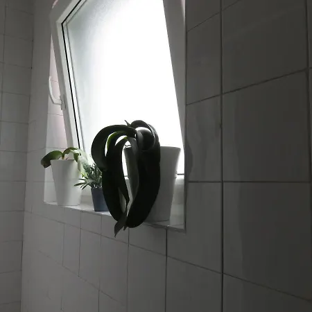 Lina Apartman *